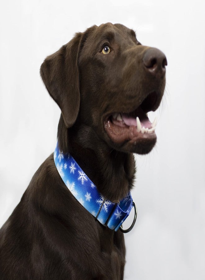 كانتري بروك ديزاين طوق مارتينجال عريض للكلاب من كونتري بروك بيتز - هوسفيت جونيور - مجموعة عيد الميلاد بتصاميم احتفالية (عالم الشتاء الرائع، متوسط) - Image 2